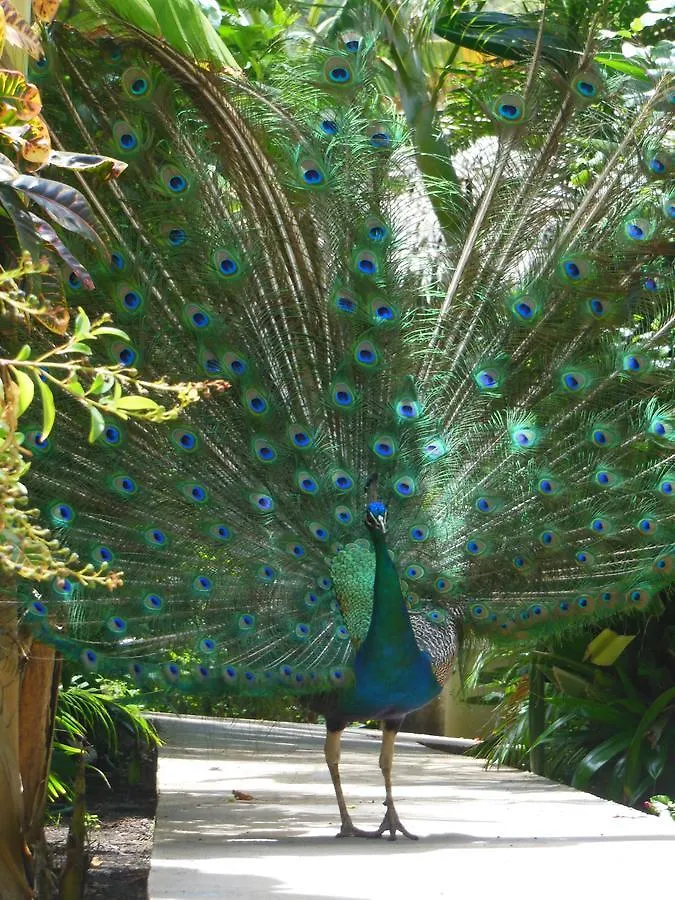 Hotel Playazul Barahona